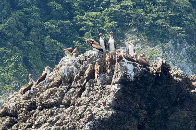 Sirena Day Tour - Local Experience in Puerto Jiménez Sirena Full-Day Sightseeing Tour - Local Experience in Puerto Jiménez