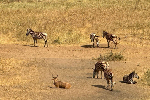 Diani/Mombasa: 2 Days to Tsavo East & Tsavo West with meals