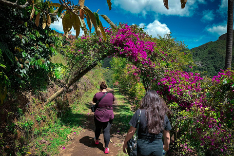 MEDELLÍN: DOŚWIADCZ NAJWYŻEJ POŁOŻONEJ TYROLKI W CAŁEJ KOLUMBII!