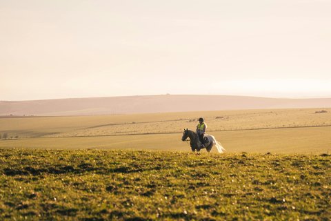 Dragør: Amager Fælled Scenic Horseback Riding Tour