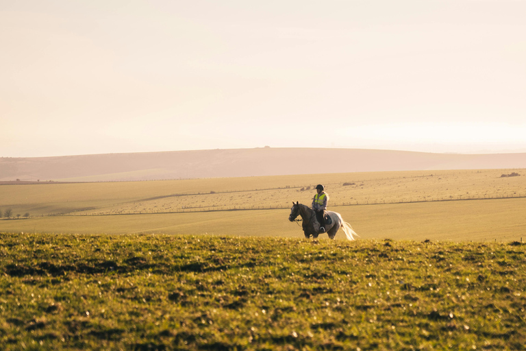 Dragør: Amager Fælled Scenic Horseback Riding Tour