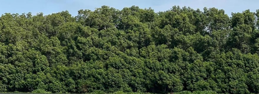 Expérience locale : Croisière sur le fleuve Kwanza