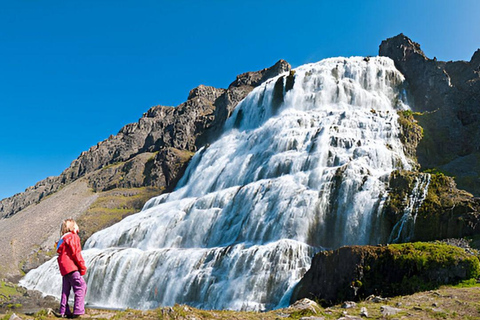 From Isafjordur: Private Dynjandi Waterfall & Farm Tour