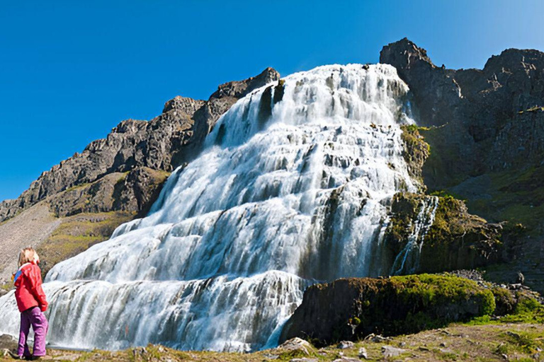 From Isafjordur: Private Dynjandi Waterfall & Farm Tour