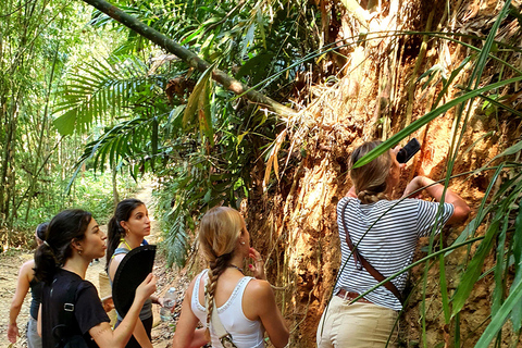 Khao Sok: Half-Day & Night Wildlife Trek and Jungle Dinner Option 6: Half-Day & Night Trek with Dinner From Khao Lak