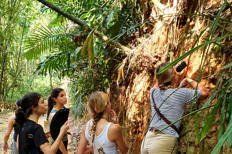 Khao Sok: Half-Day & Night Wildlife Trek and Jungle Dinner Option 6: Half-Day & Night Trek with Dinner From Khao Lak