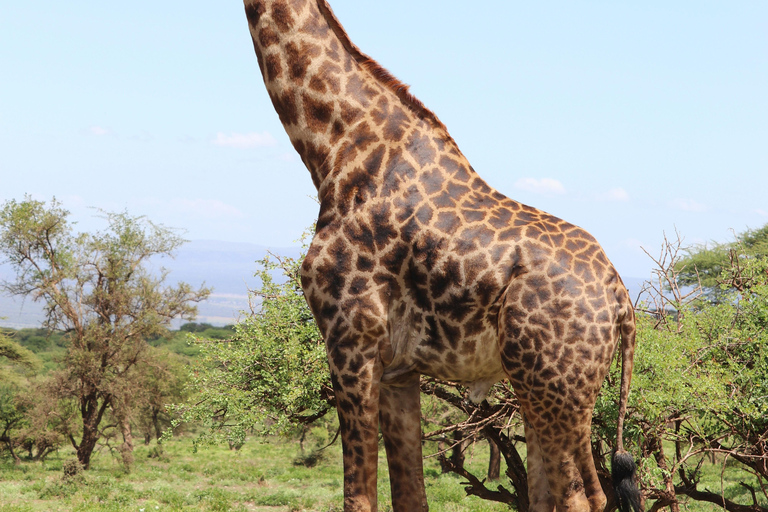 Livingstone: Mosi-oa-Tunya Park, Falls & Sunset Cruise