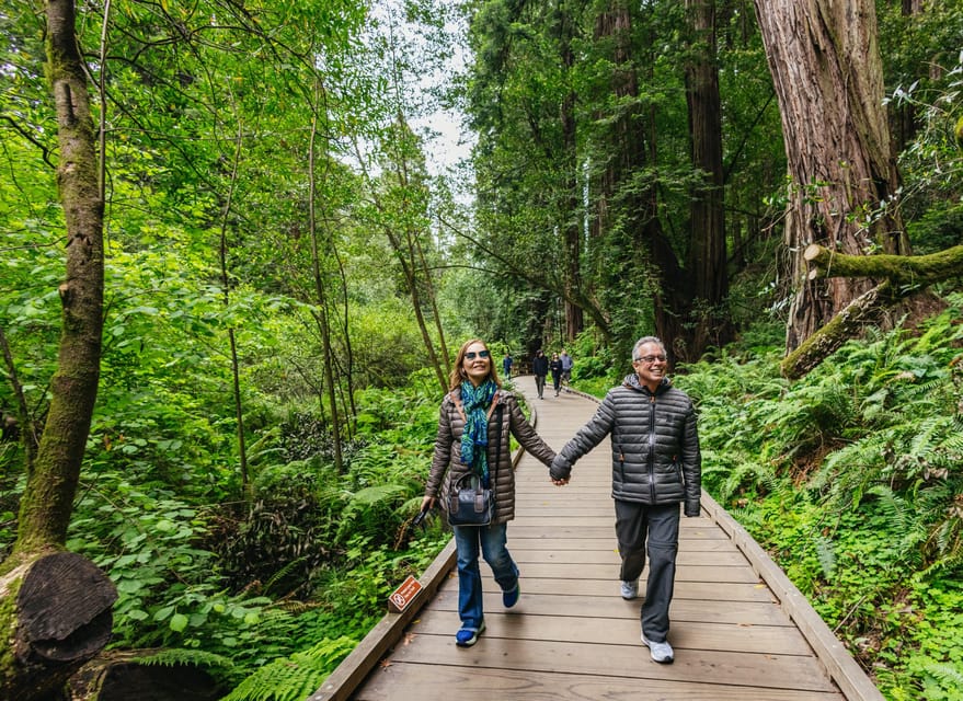 San Francisco: Muir Woods, Sausalito and SF Bay Cruise image 3