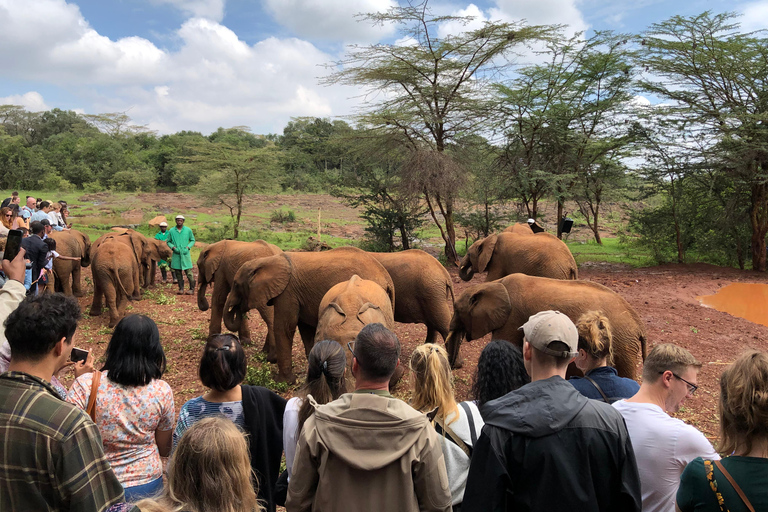 Elefantenwaisenhaus und Nairobi National Park am Nachmittag