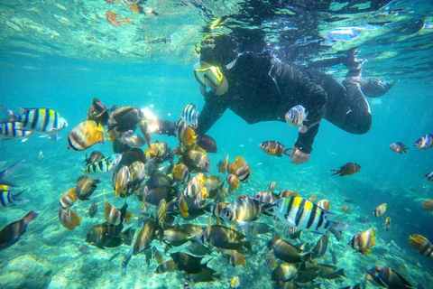 Private Snorkeling Tour Gili Trawangan,Gili Meno,Gili Air Start From: Senggigi,Mangsit,Mataram,Sira,Tanjung,Medana