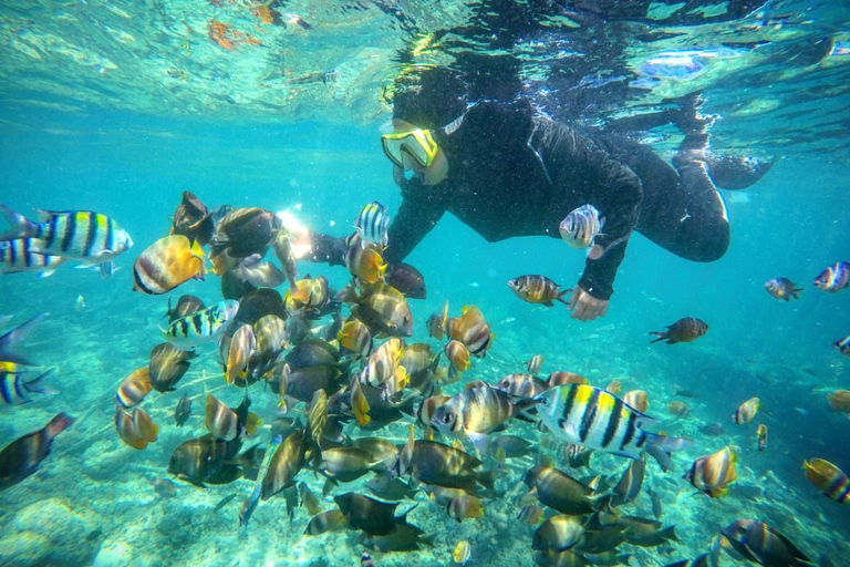 Private Snorkeling Tour Gili Trawangan,Gili Meno,Gili Air Start From: Senggigi,Mangsit,Mataram,Sira,Tanjung,Medana