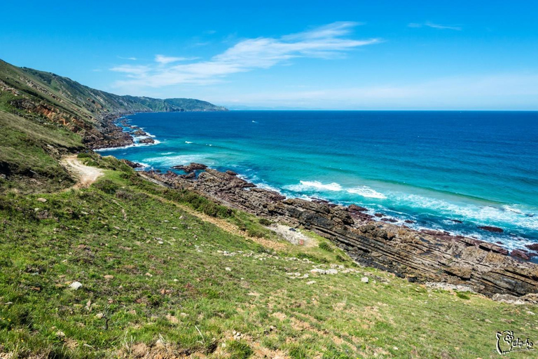 San Sebastián: Guided Hiking Tour with Car Transfer