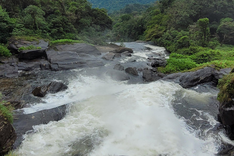 CAMINHO DO OURO - Guided tour Atlantic Forest, Waterfalls, Stories.