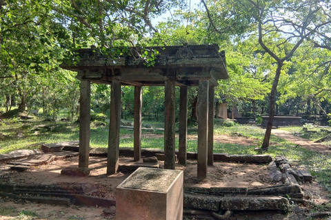 From Colombo/Negombo to Anuradhapura Day Tour with Mihintale