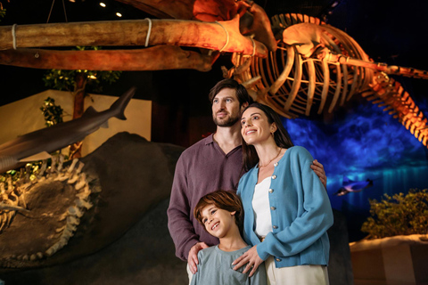 Abu Dhabi: Louvre, Zayed & Natural History Museum Pass Abu Dhabi : Louvre, Zayed & Natural History Museum Pass