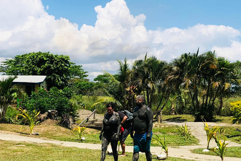 Ogród orchidei, wędrówka nad wodospad i gorące źródła SabetoFiji Marriott Resort/Queens Wharf Lautoka /Tanoa Waterfront