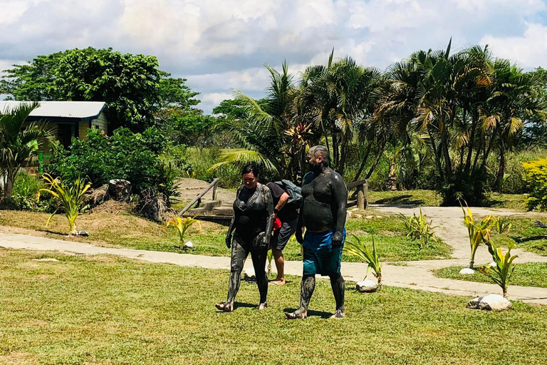 Ogród orchidei, wędrówka nad wodospad i gorące źródła SabetoFiji Marriott Resort/Queens Wharf Lautoka /Tanoa Waterfront
