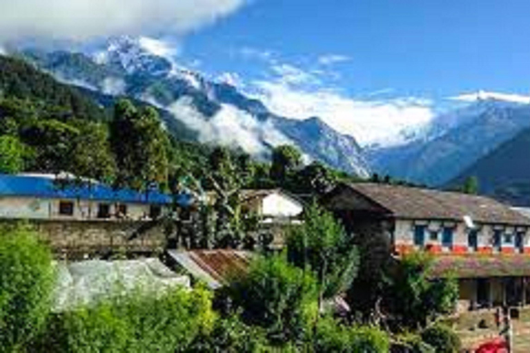 Pokhara: Geführte Tageswanderung von Dampus zum Australian Base Camp