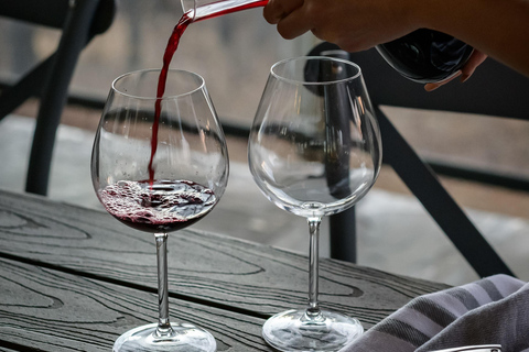 De Paris: Vale do Loire: Castelo de Chambord e degustação de vinhos