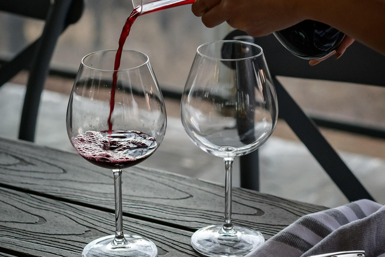 Au départ de Paris : Vallée de la Loire : Château de Chambord et dégustation de vins