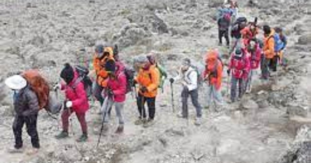 Peak Of Africa Day Trekking Tour Via Machame Route Getyourguide