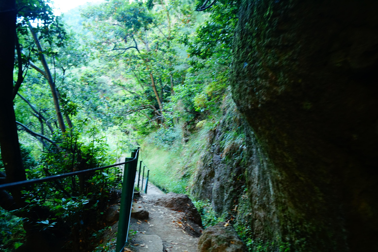 From Funchal: Levada Nova Hiking Tour with stopover at beach Nova friday