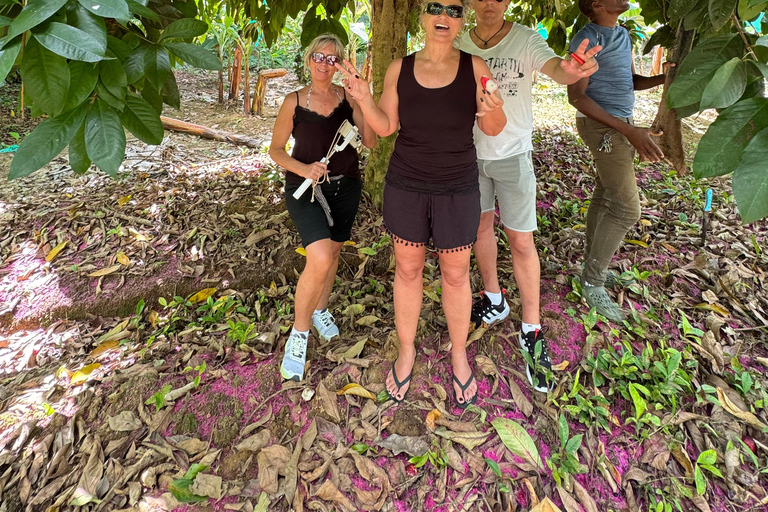 St. Lucia: Marigot Bay and Banana Plantation Tour