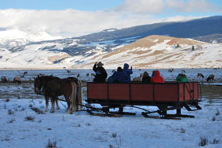 Jackson Hole: National Elk Refuge Sleigh Ride