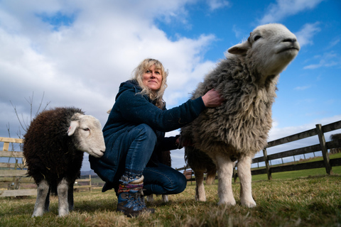 Scotland: Tea Retreat with Naughty Sheep