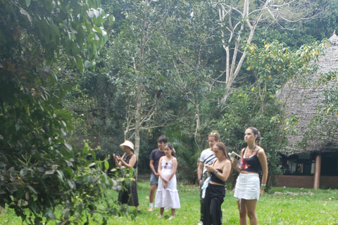 Zanzibar: Jozani forest, Butterfly center & Salaam cave tour Tour with Hotel pick up and drop off included