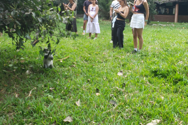 Zanzibar: Jozani forest, Butterfly center & Salaam cave tour Tour with Hotel pick up and drop off included