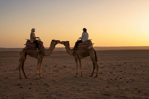 Marrakech: Agafay Wüste Quad &amp; Kamelreiten mit Dinner ShowMarrakesch: Quad- und Kamelritt in der Agafay-Wüste mit Dinner-Show