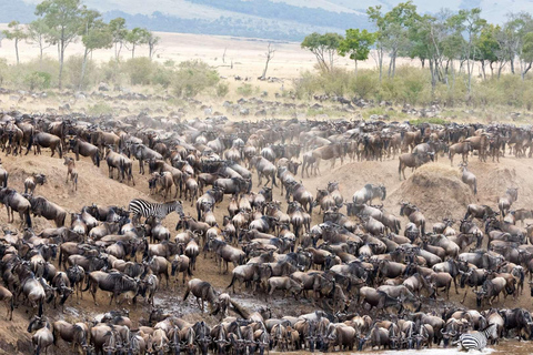 Serengeti : Safari de 5 jours avec traversée de la rivière Mara