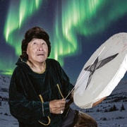 Fairbanks: Fotosafari zu den Nordlichtern
