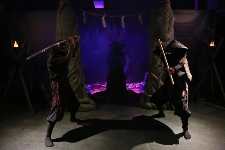 Tokyo: Ninja and Samurai Training Experience 1 Hour Hands On Ninja Lesson