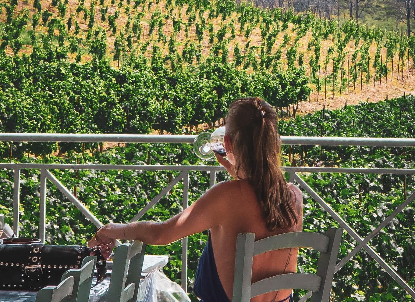 Rhodos: Rundvisning på vingård og vinsmagning