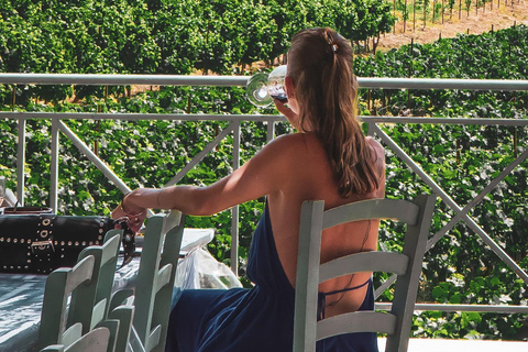 Rodas: Visita a Bodegas y Degustación