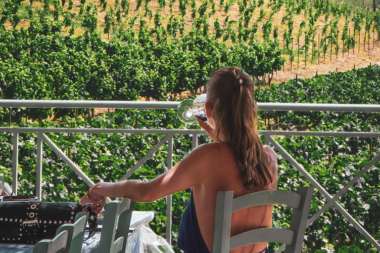 Rodas: Visita a Bodegas y Degustación