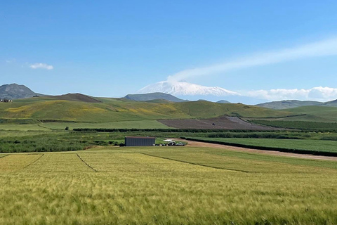 Safari at Tenuta Frasson Farm