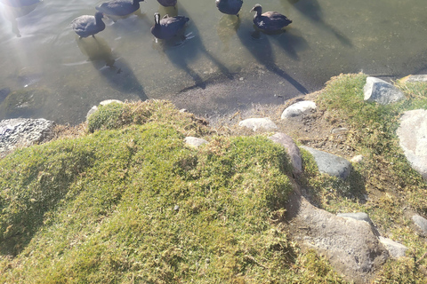 Quito: Baños de Agua Santa, Cotopaxi, Yambo Lagoon Tour, 2 days 1 night