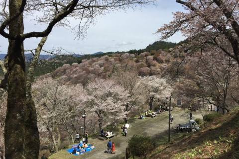Yoshino: Private geführte Tour & Wanderung in einem japanischen BergYoshino: Ganztagestour mit privater Führung in einem japanischen Berg