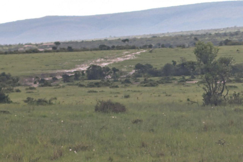 Nairobi: 3-Day epic trip to Maasai Mara Reserve with meals 3 days, 2 nights private safari to Mara in a tourist VAN