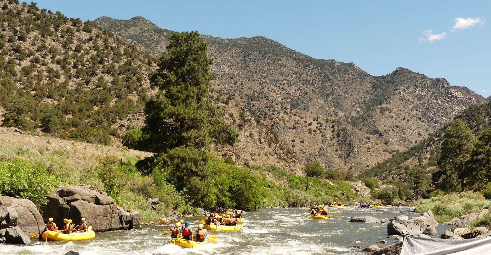 Cañon City, Bighorn Sheep Canyon Guided Rafting Adventure - Housity