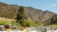 Cañon City, Bighorn Sheep Canyon Guided Rafting Adventure - Housity