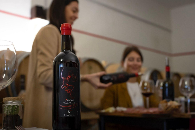 Soiana: tour dei vigneti e della cantina con degustazione di vini vicino a PisaInglese