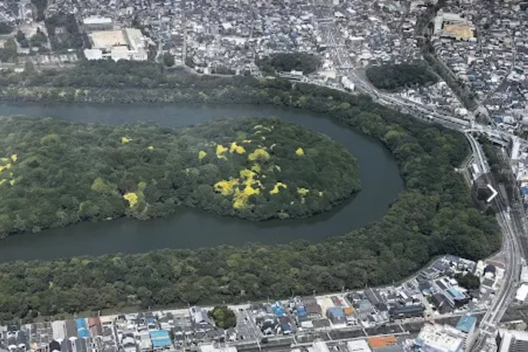 Osaka: Sakai Day Tour with Lunch and Transfers