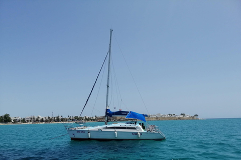 Hammamet: Guided Diving Experience with Hotel Transfer