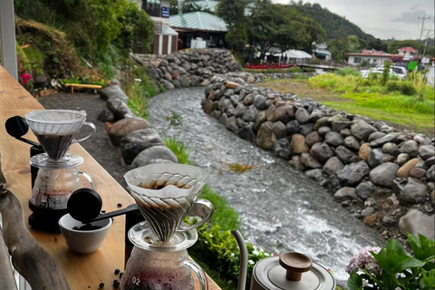 Boquete: Guided Coffee Tasting Experience