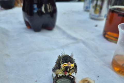 From Belgrade: Rakija-Making Experience with Lunch