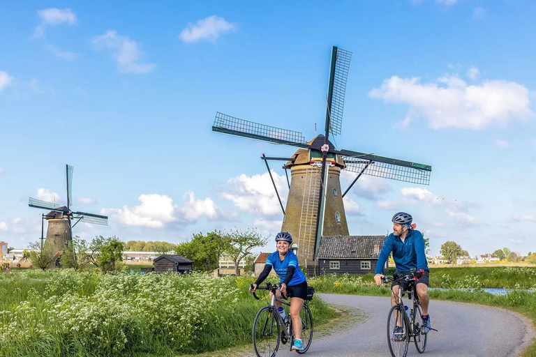 Rotterdam na kółkach - wycieczka rowerowa po mieście